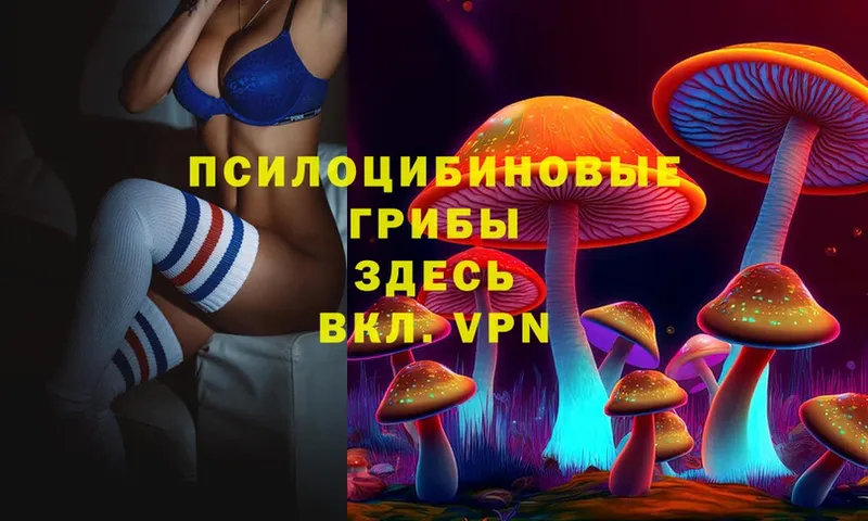 как найти закладки  Козьмодемьянск  Галлюциногенные грибы Psilocybine cubensis 